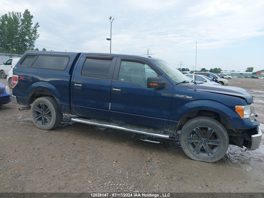 2013 Ford F-150 VIN: 1FTFW1EF8DKD97902 Lot: 12028147