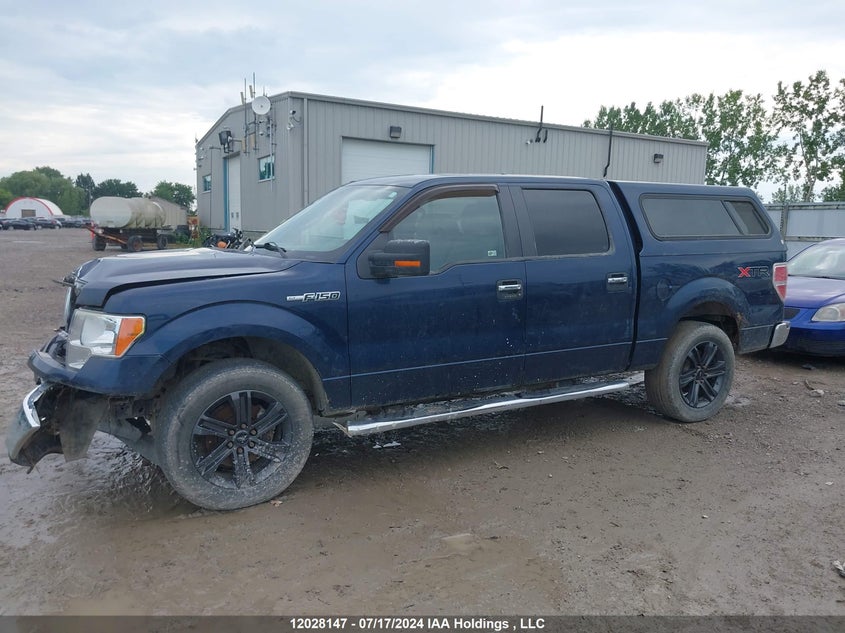 2013 Ford F-150 VIN: 1FTFW1EF8DKD97902 Lot: 12028147