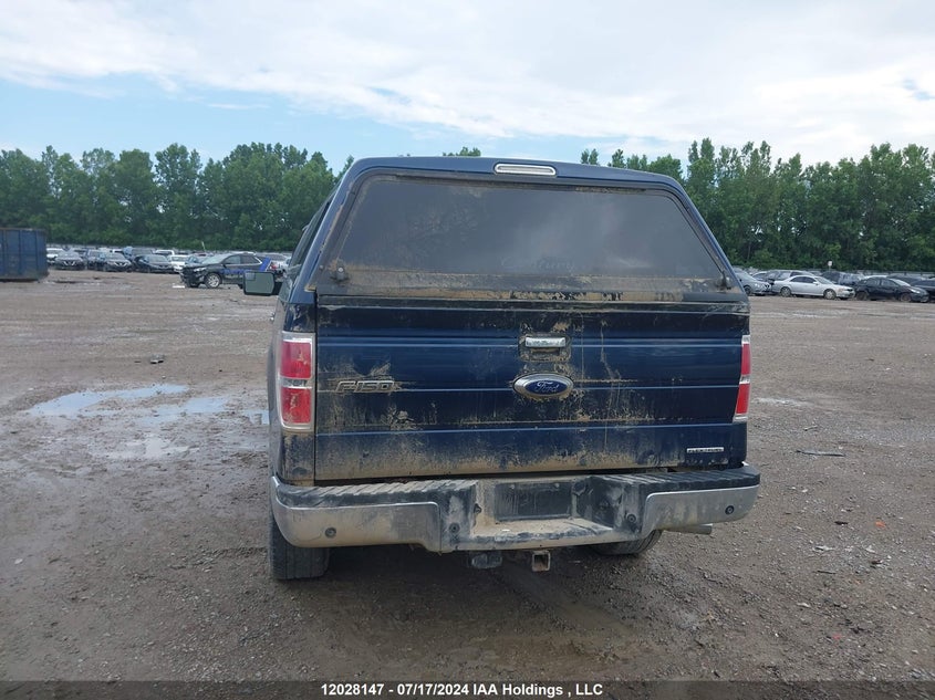 2013 Ford F-150 VIN: 1FTFW1EF8DKD97902 Lot: 12028147