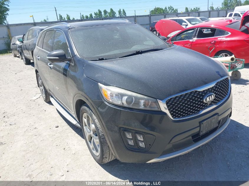 2016 Kia Sorento VIN: 5XYPKDA51GG126172 Lot: 12028201