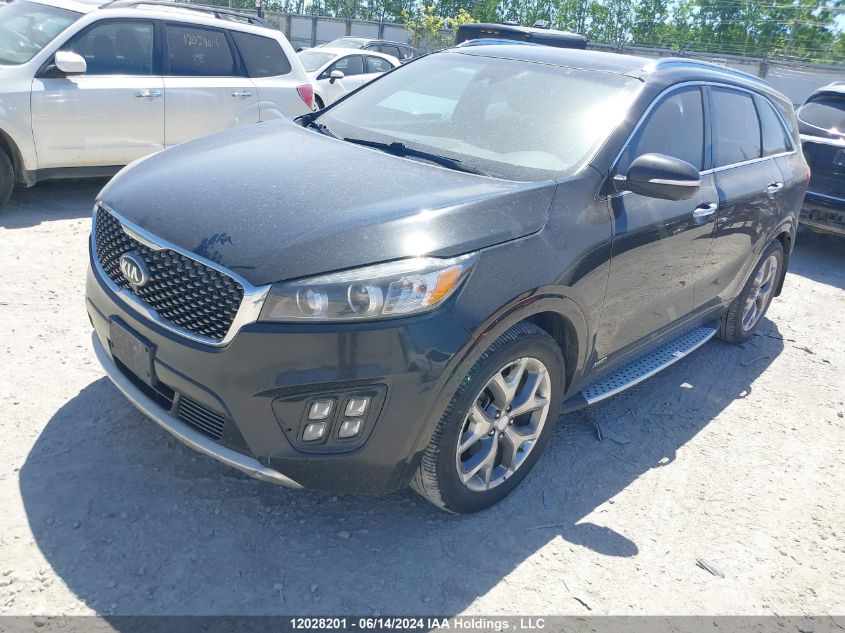 2016 Kia Sorento VIN: 5XYPKDA51GG126172 Lot: 12028201