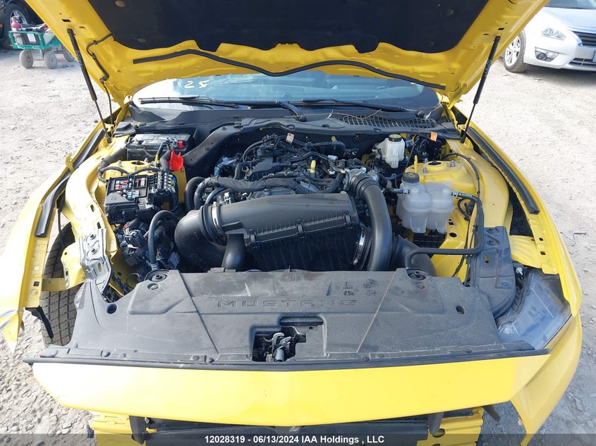 2024 Ford Mustang VIN: 1FA6P8TH6R5106013 Lot: 12028319