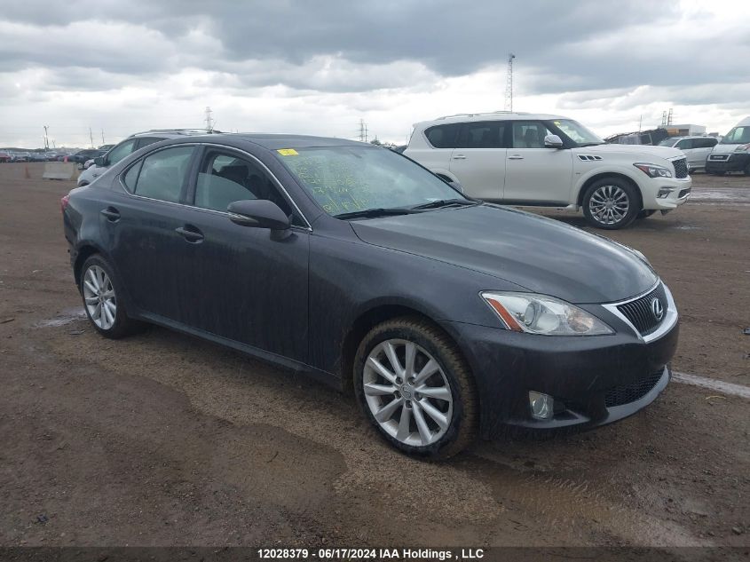 2009 Lexus Is 250 VIN: JTHCK262592030669 Lot: 12028379