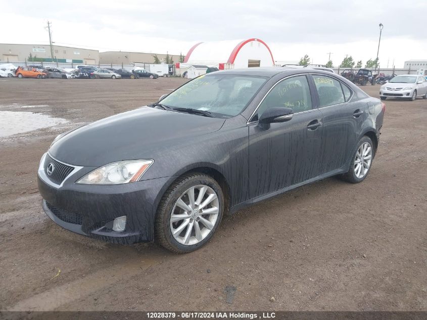 2009 Lexus Is 250 VIN: JTHCK262592030669 Lot: 12028379