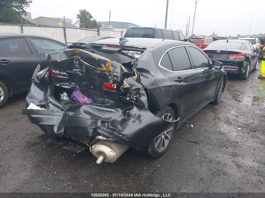 2015 Acura Tlx VIN: 19UUB3F52FA803090 Lot: 12028382