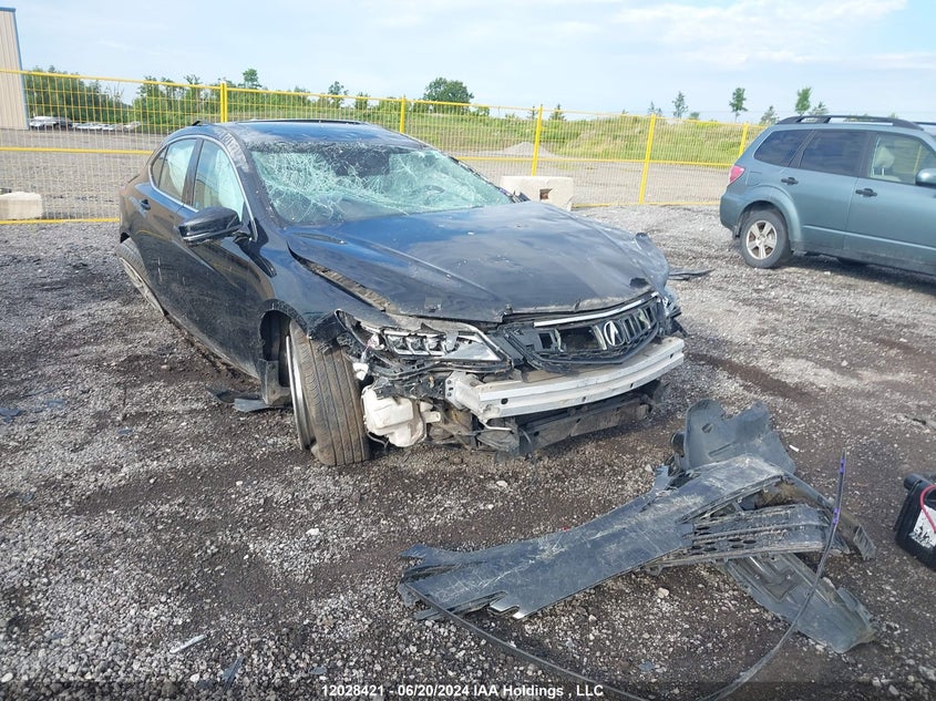 2015 Acura Tlx VIN: 19UUB3F56FA801780 Lot: 12028421