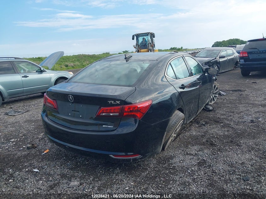 2015 Acura Tlx VIN: 19UUB3F56FA801780 Lot: 12028421