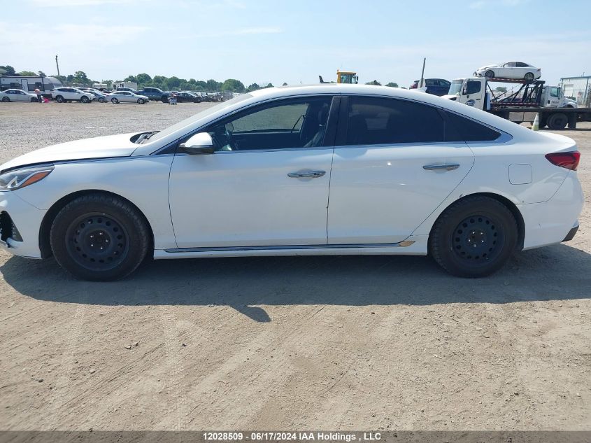 2018 Hyundai Sonata 2.4 Sport VIN: 5NPE34AF3JH679323 Lot: 12028509