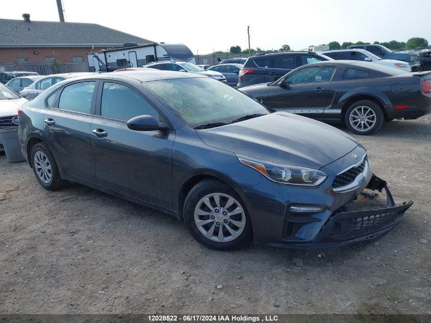 2019 Kia Forte VIN: 3KPF24AD1KE135091 Lot: 12028522