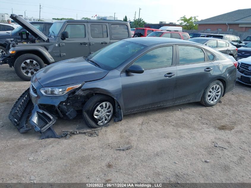 2019 Kia Forte VIN: 3KPF24AD1KE135091 Lot: 12028522