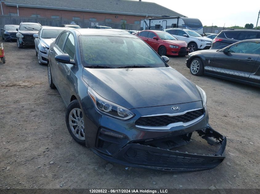 2019 Kia Forte VIN: 3KPF24AD1KE135091 Lot: 12028522