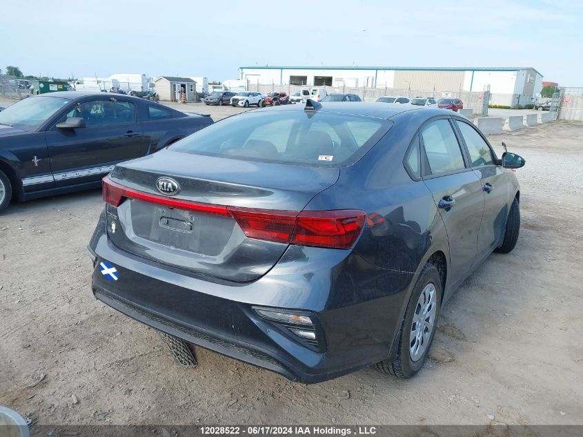 2019 Kia Forte VIN: 3KPF24AD1KE135091 Lot: 12028522