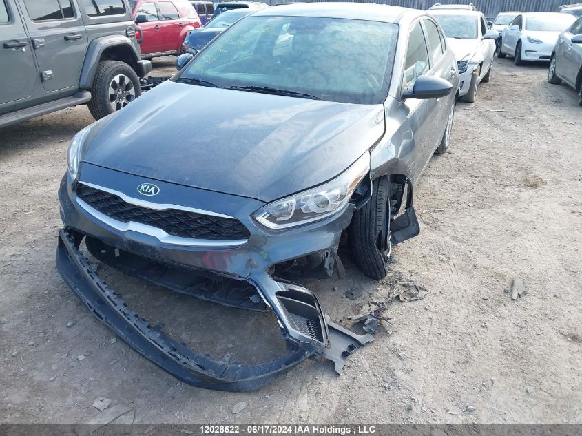 2019 Kia Forte VIN: 3KPF24AD1KE135091 Lot: 12028522