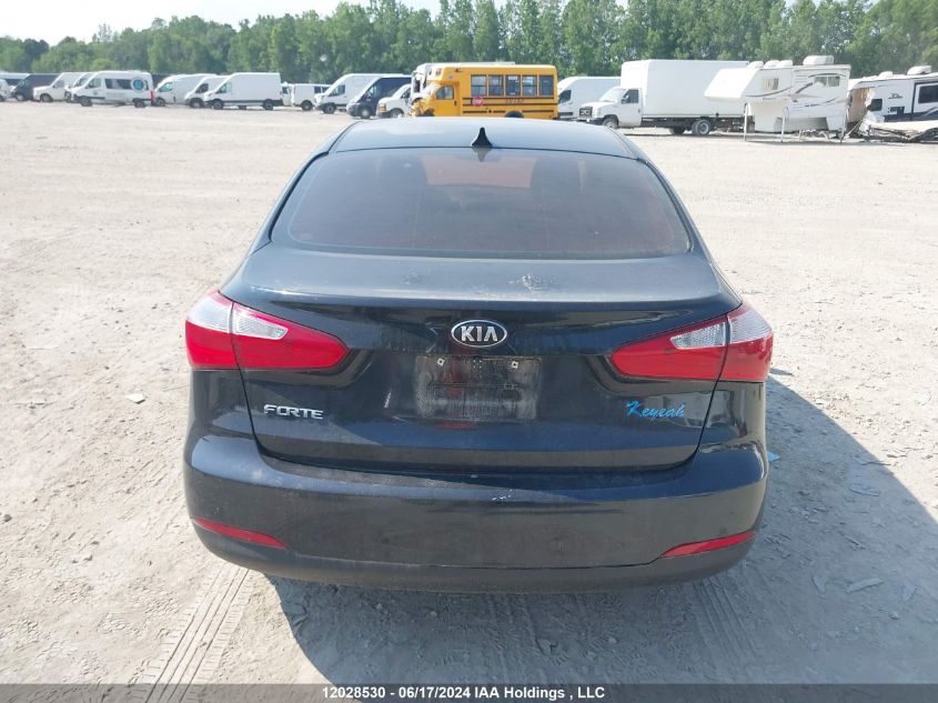 2014 Kia Forte VIN: KNAFX4A60E5090550 Lot: 12028530