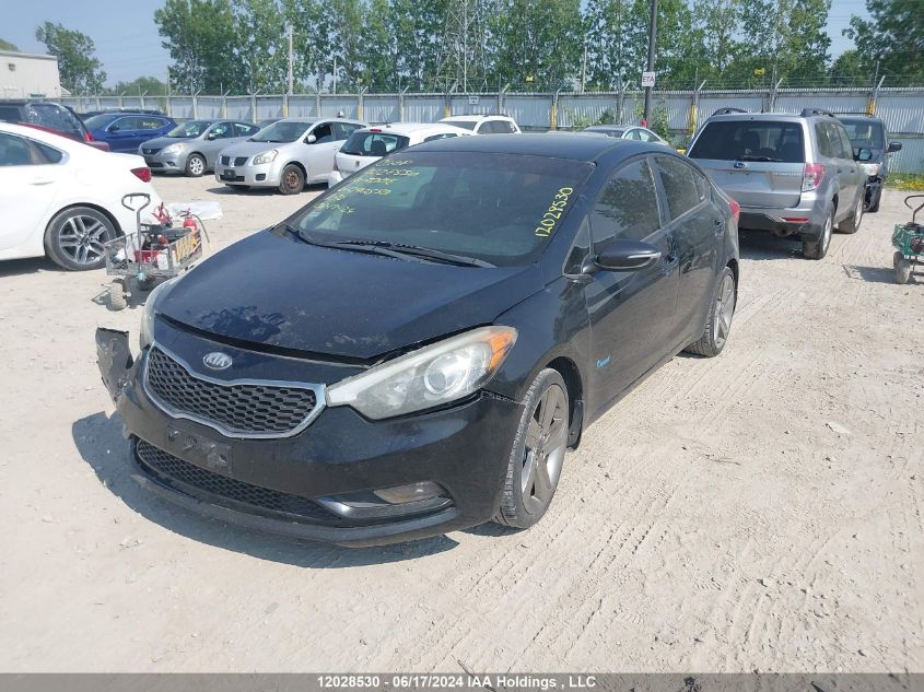 2014 Kia Forte VIN: KNAFX4A60E5090550 Lot: 12028530