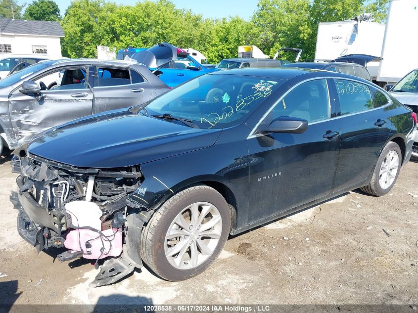 2021 Chevrolet Malibu VIN: 1G1ZD5ST0MF025282 Lot: 12028538