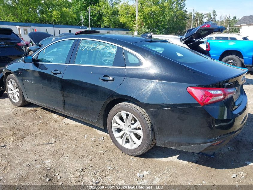 2021 Chevrolet Malibu VIN: 1G1ZD5ST0MF025282 Lot: 12028538