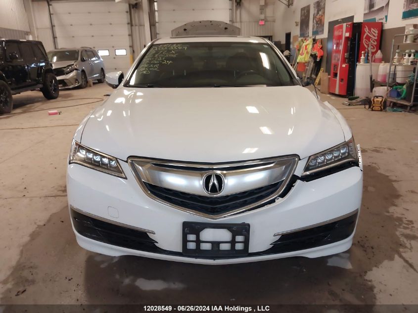 19UUB3F36HA801506 2017 Acura Tlx