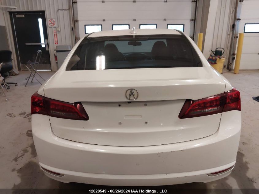 19UUB3F36HA801506 2017 Acura Tlx