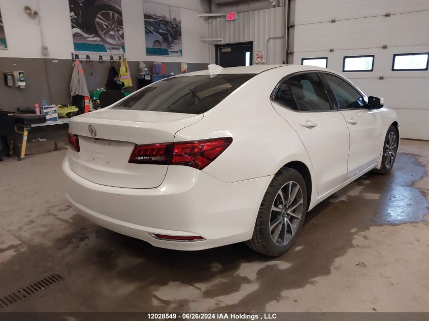 2017 Acura Tlx VIN: 19UUB3F36HA801506 Lot: 12028549