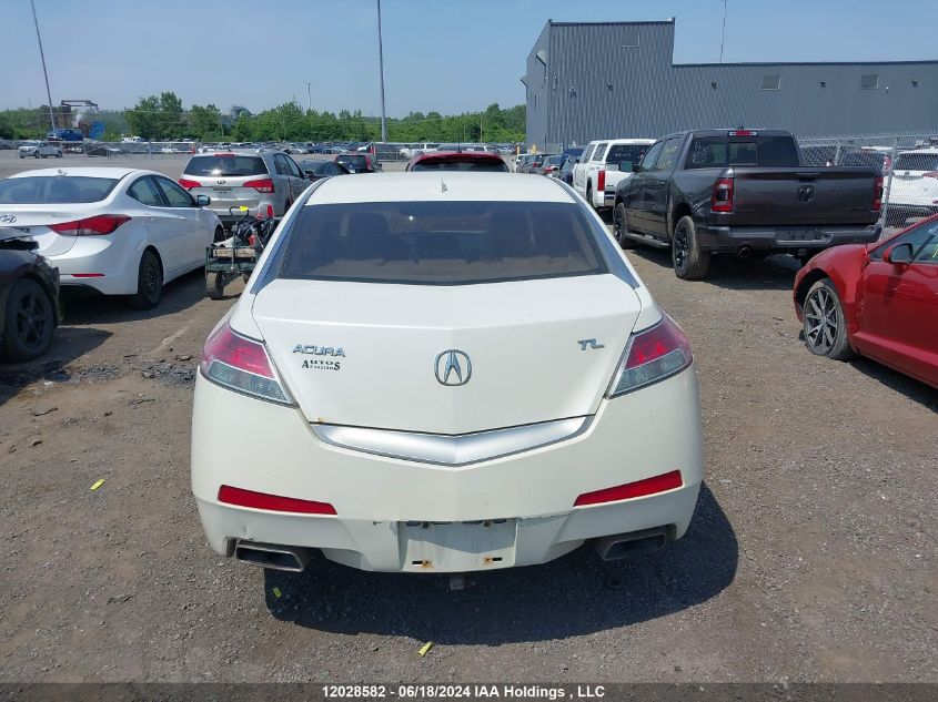 2009 Acura Tl VIN: 19UUA86229A800796 Lot: 12028582