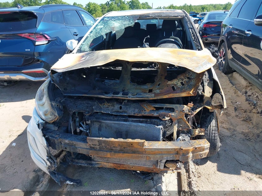 2017 Hyundai Accent Se VIN: KMHCT5AE6HU343620 Lot: 12028681