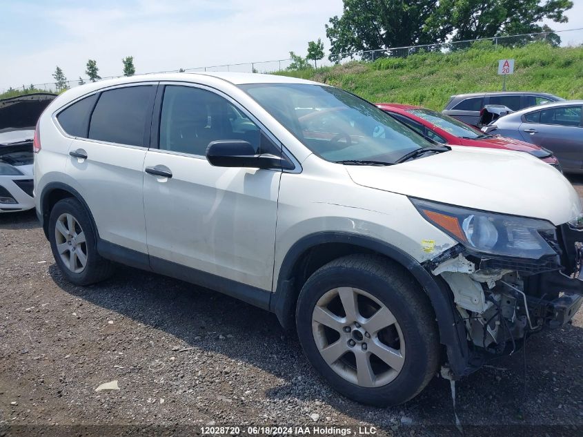 2014 Honda Cr-V VIN: 2HKRM4H30EH104399 Lot: 12028720