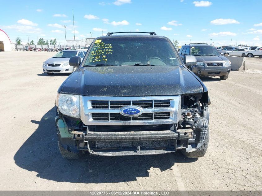 2011 Ford Escape Xlt Manual VIN: 1FMCU0D76BKB94142 Lot: 12028775