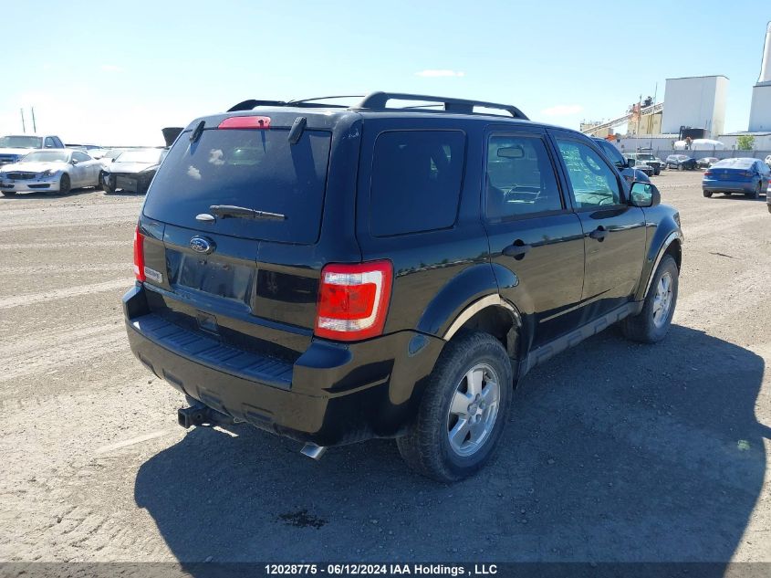 2011 Ford Escape Xlt Manual VIN: 1FMCU0D76BKB94142 Lot: 12028775