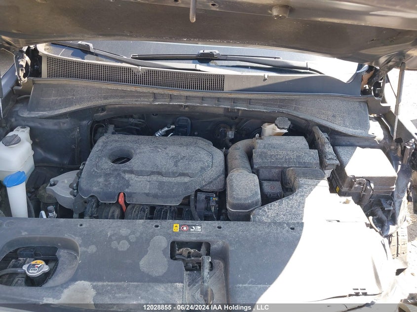 2020 Kia Sorento VIN: 5XYPGDA37LG612799 Lot: 12028855