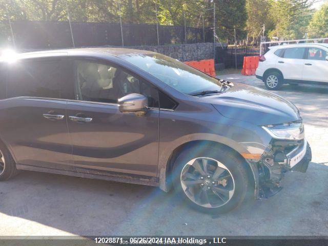 2024 Honda Odyssey VIN: 5FNRL6H89RB501754 Lot: 12028871