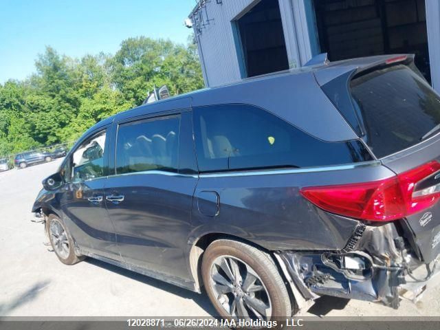 2024 Honda Odyssey VIN: 5FNRL6H89RB501754 Lot: 12028871