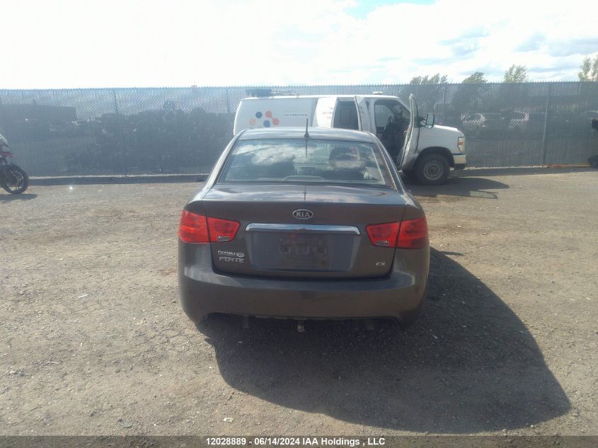 2010 Kia Forte VIN: KNAFU4A20A5291669 Lot: 12028889