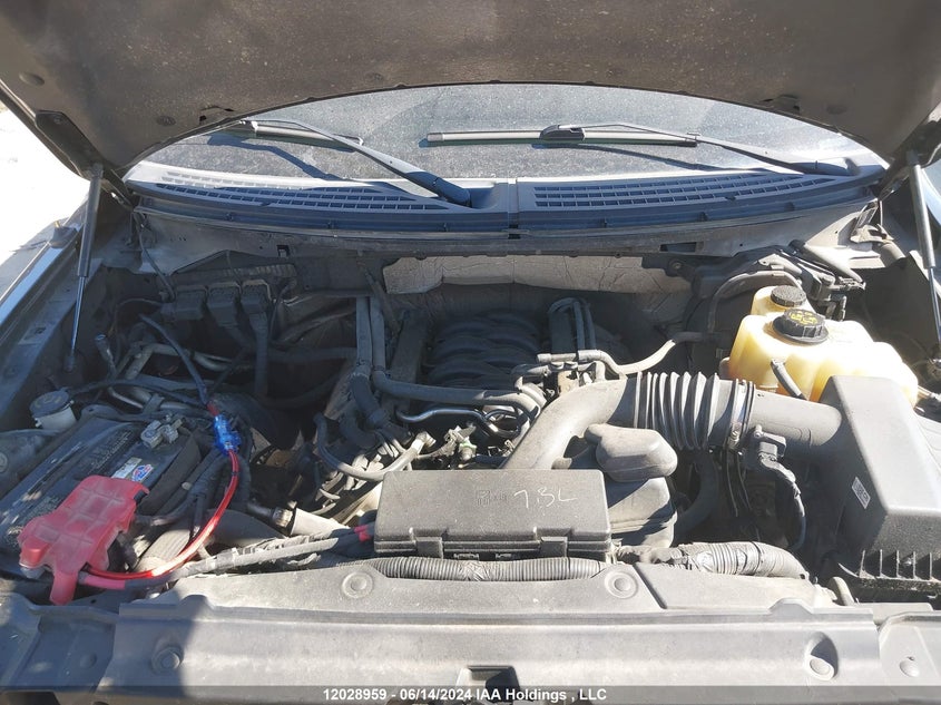 2013 Ford F150 Super Cab VIN: 1FTFX1EF5DFC97391 Lot: 12028959