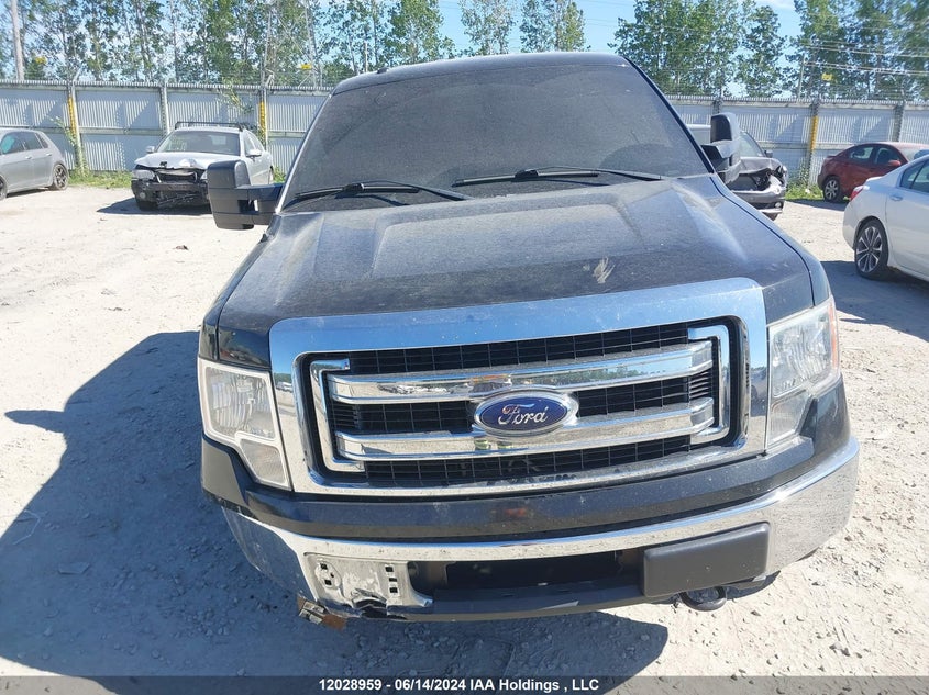 2013 Ford F150 Super Cab VIN: 1FTFX1EF5DFC97391 Lot: 12028959