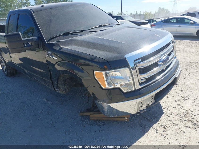 2013 Ford F150 Super Cab VIN: 1FTFX1EF5DFC97391 Lot: 12028959