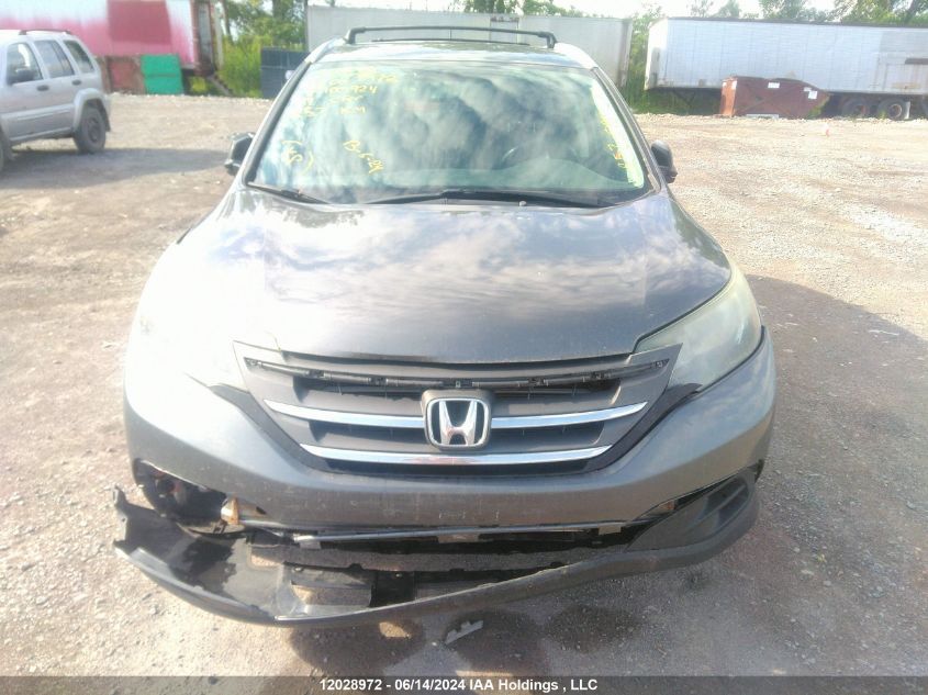 2014 Honda Cr-V VIN: 2HKRM4H36EH100924 Lot: 12028972