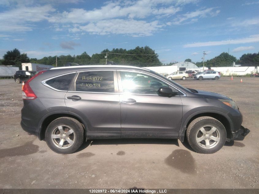 2014 Honda Cr-V VIN: 2HKRM4H36EH100924 Lot: 12028972