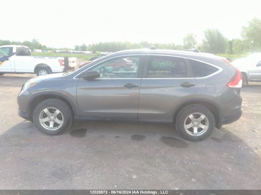 2014 Honda Cr-V VIN: 2HKRM4H36EH100924 Lot: 12028972