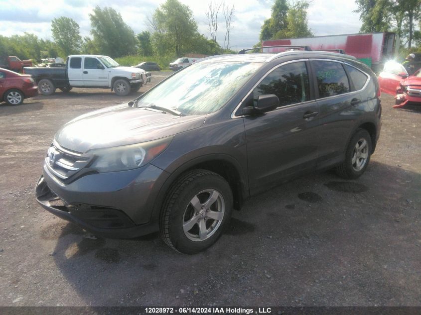 2014 Honda Cr-V VIN: 2HKRM4H36EH100924 Lot: 12028972