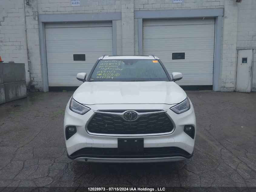 2020 Toyota Highlander Platinum VIN: 5TDFZRBHXLS035167 Lot: 12028973