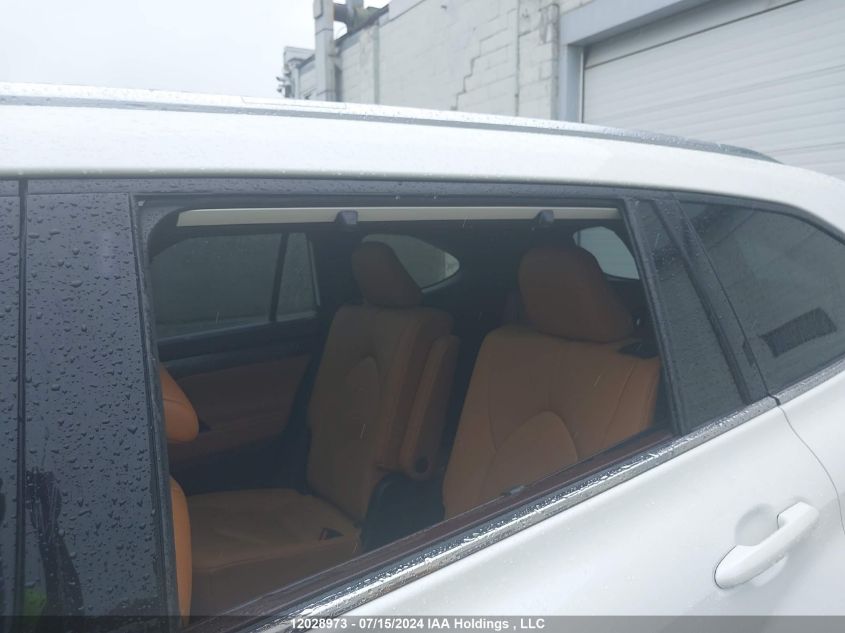 2020 Toyota Highlander Platinum VIN: 5TDFZRBHXLS035167 Lot: 12028973