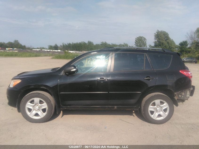 2010 Toyota Rav4 VIN: 2T3BF4DV8AW033118 Lot: 12028977