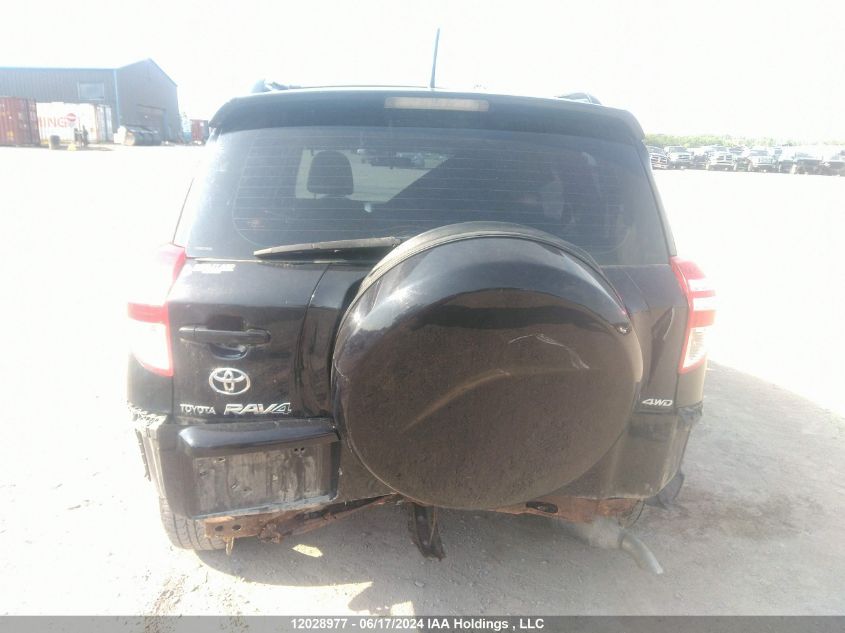 2010 Toyota Rav4 VIN: 2T3BF4DV8AW033118 Lot: 12028977