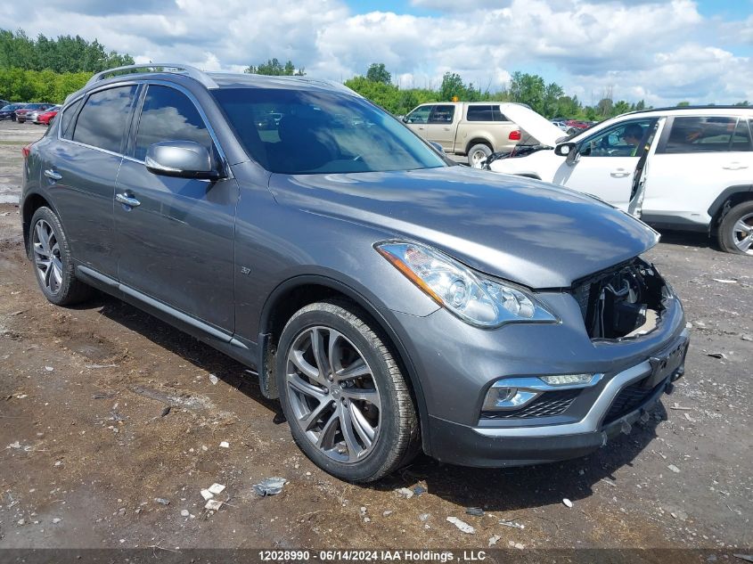 2016 Infiniti Qx50 VIN: JN1BJ0RR1GM265510 Lot: 12028990