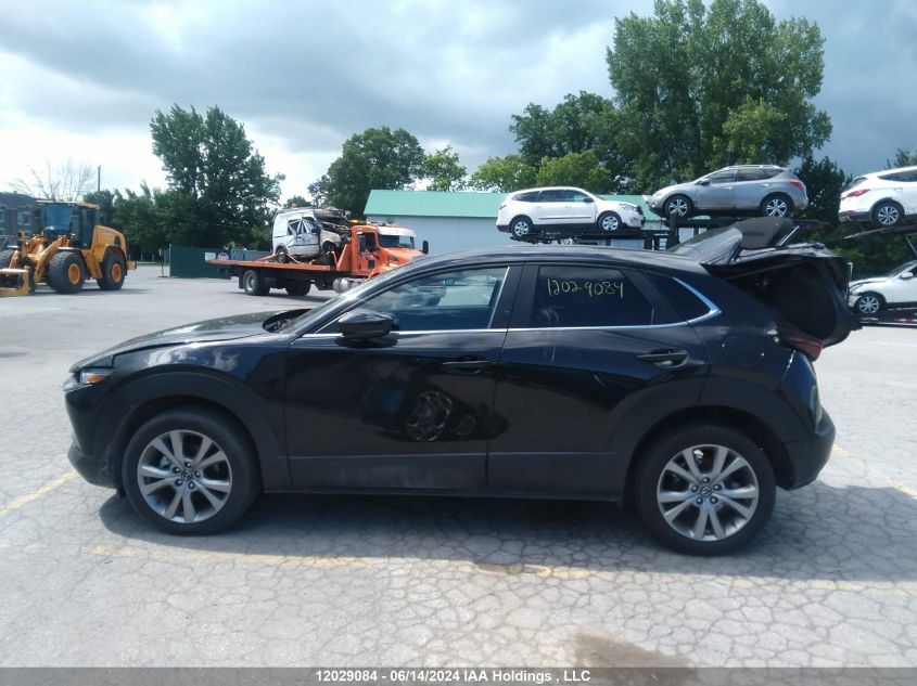 2023 Mazda Cx-30 VIN: 3MVDMBCM9PM534264 Lot: 12029084