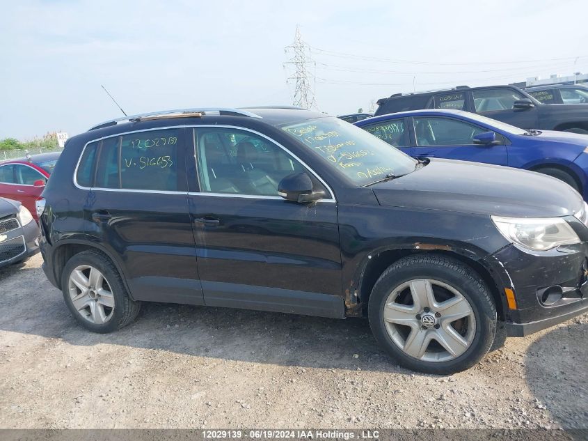 2010 Volkswagen Tiguan VIN: WVGBV7AX3AW516653 Lot: 12029139