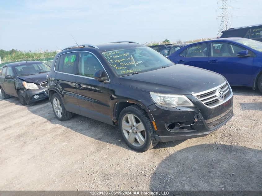 2010 Volkswagen Tiguan VIN: WVGBV7AX3AW516653 Lot: 12029139