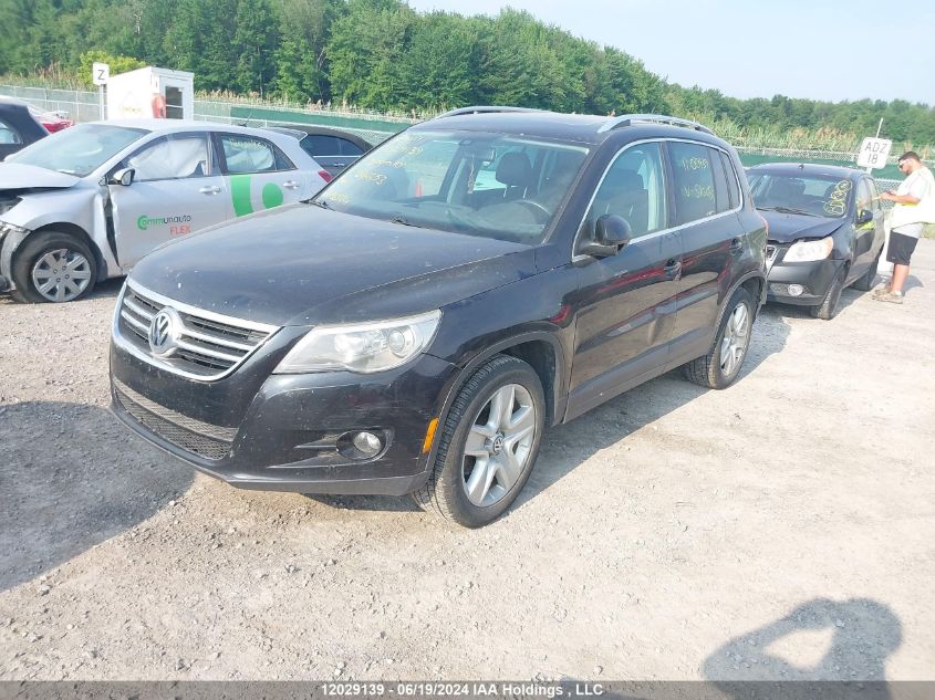 2010 Volkswagen Tiguan VIN: WVGBV7AX3AW516653 Lot: 12029139