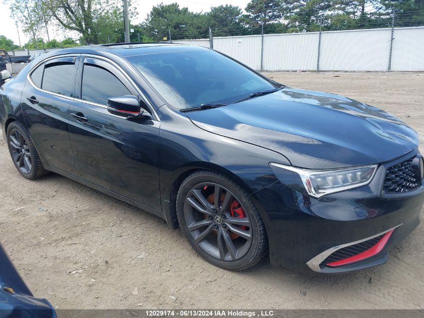 2018 Acura Tlx VIN: 19UUB3F35JA800899 Lot: 12029174